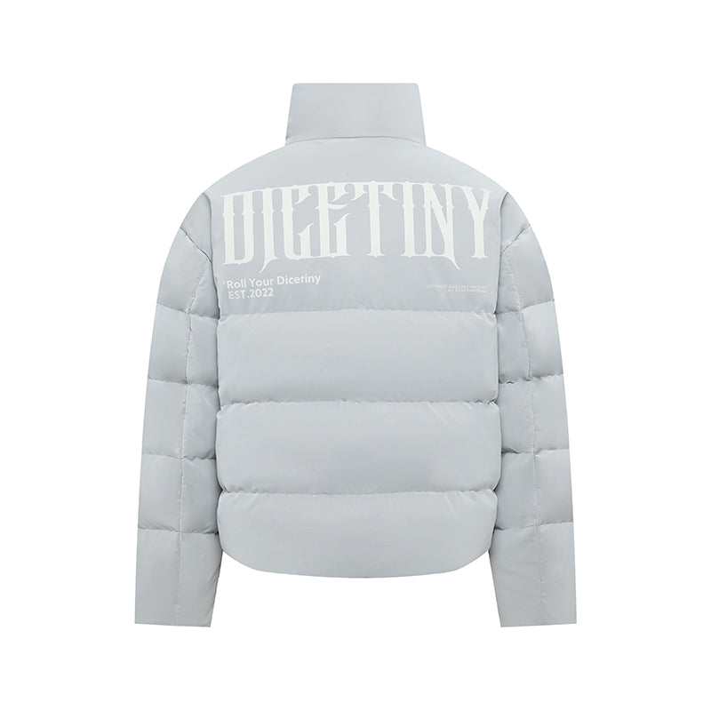 DICETINY matte pu leather down jacket