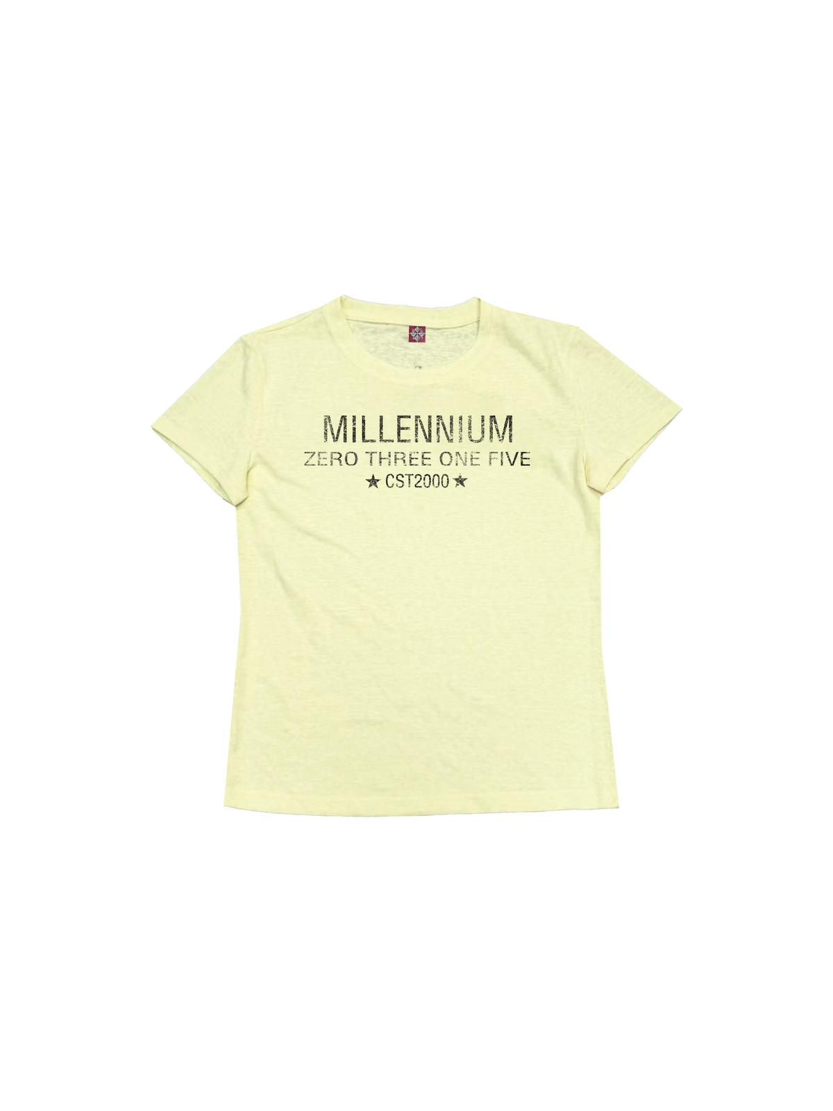 DETW CST2000 Snowflake 260g Slim Fit Crewneck Tee