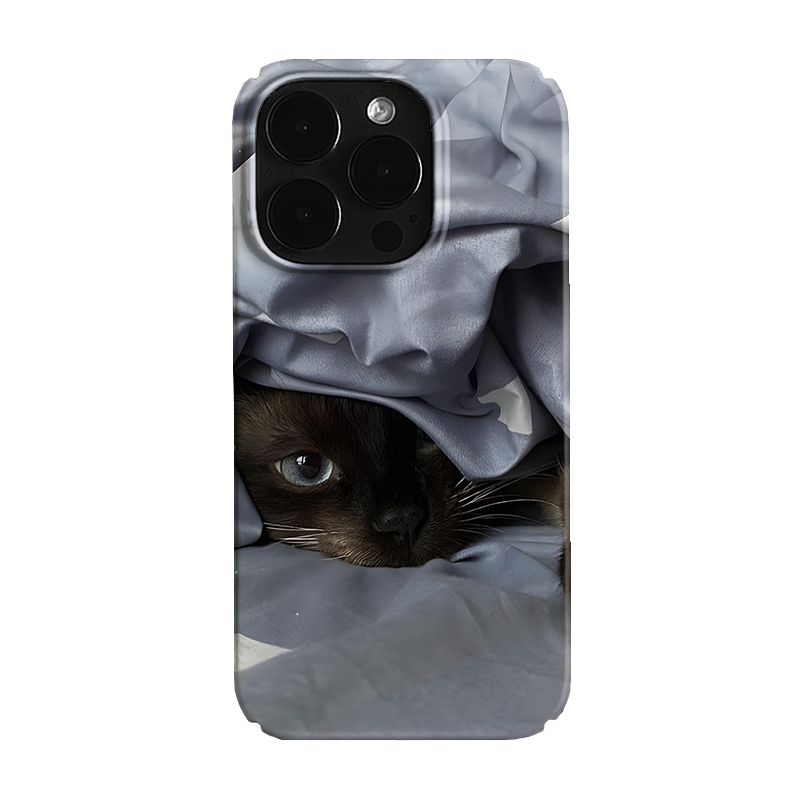 Pbcase Siamese Cat Cat Niche IPhone Case