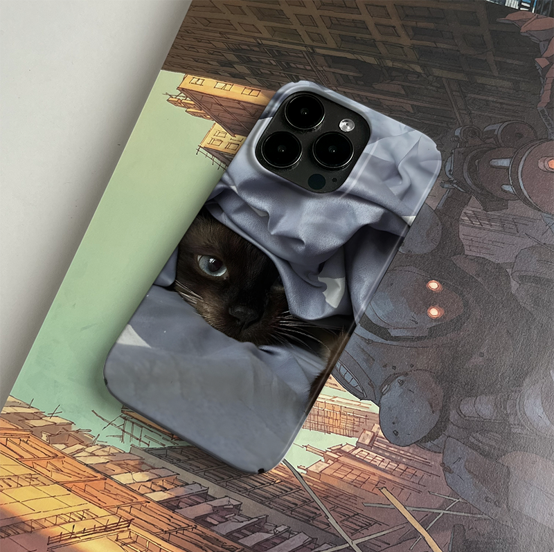 Pbcase Siamese Cat Cat Niche IPhone Case