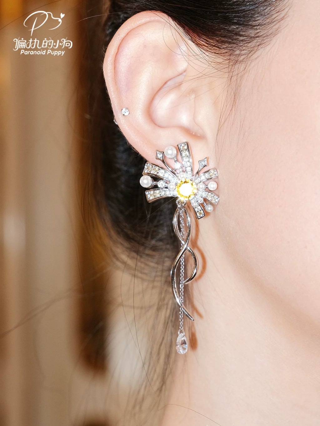 PP Smart Fringed Light Luxury Earrings