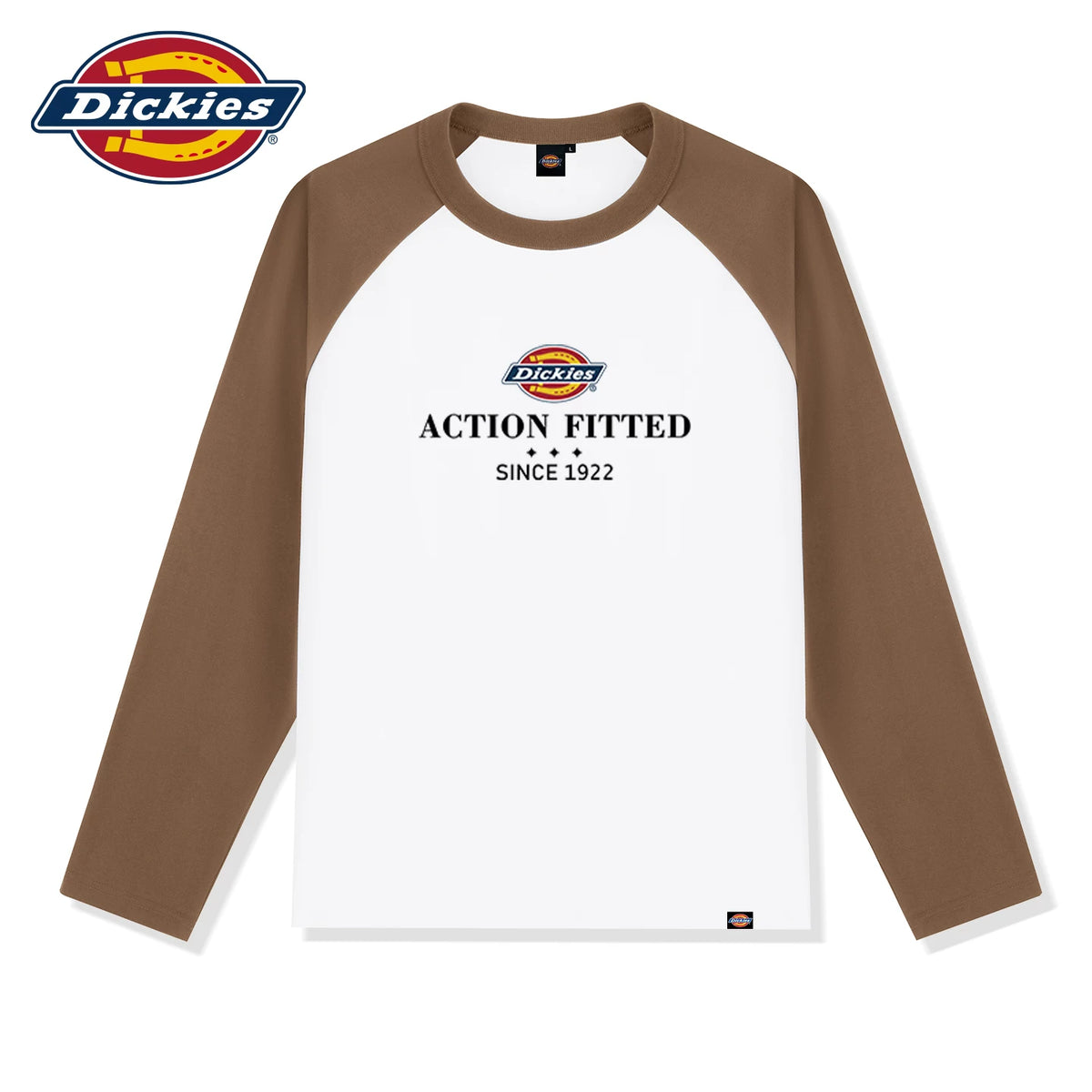 Dickies Color-Block 230g Loose Fit Long-Sleeve Tee