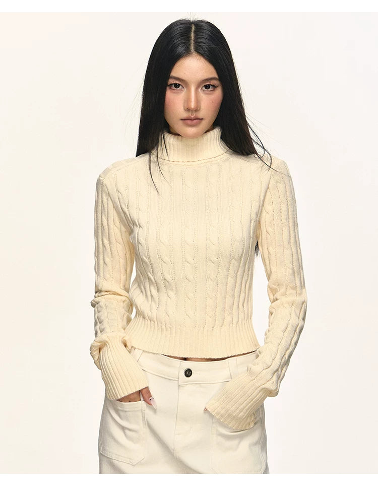 Anna Aneae Turtleneck Pit Strip Waist Sweater