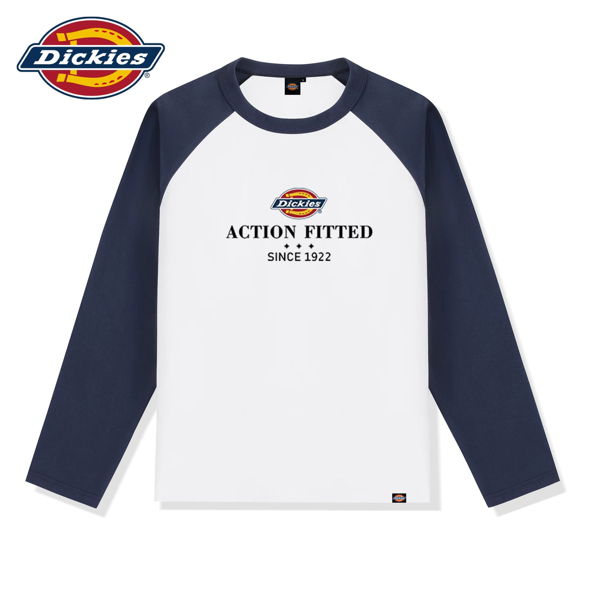 Dickies Color-Block 230g Loose Fit Long-Sleeve Tee