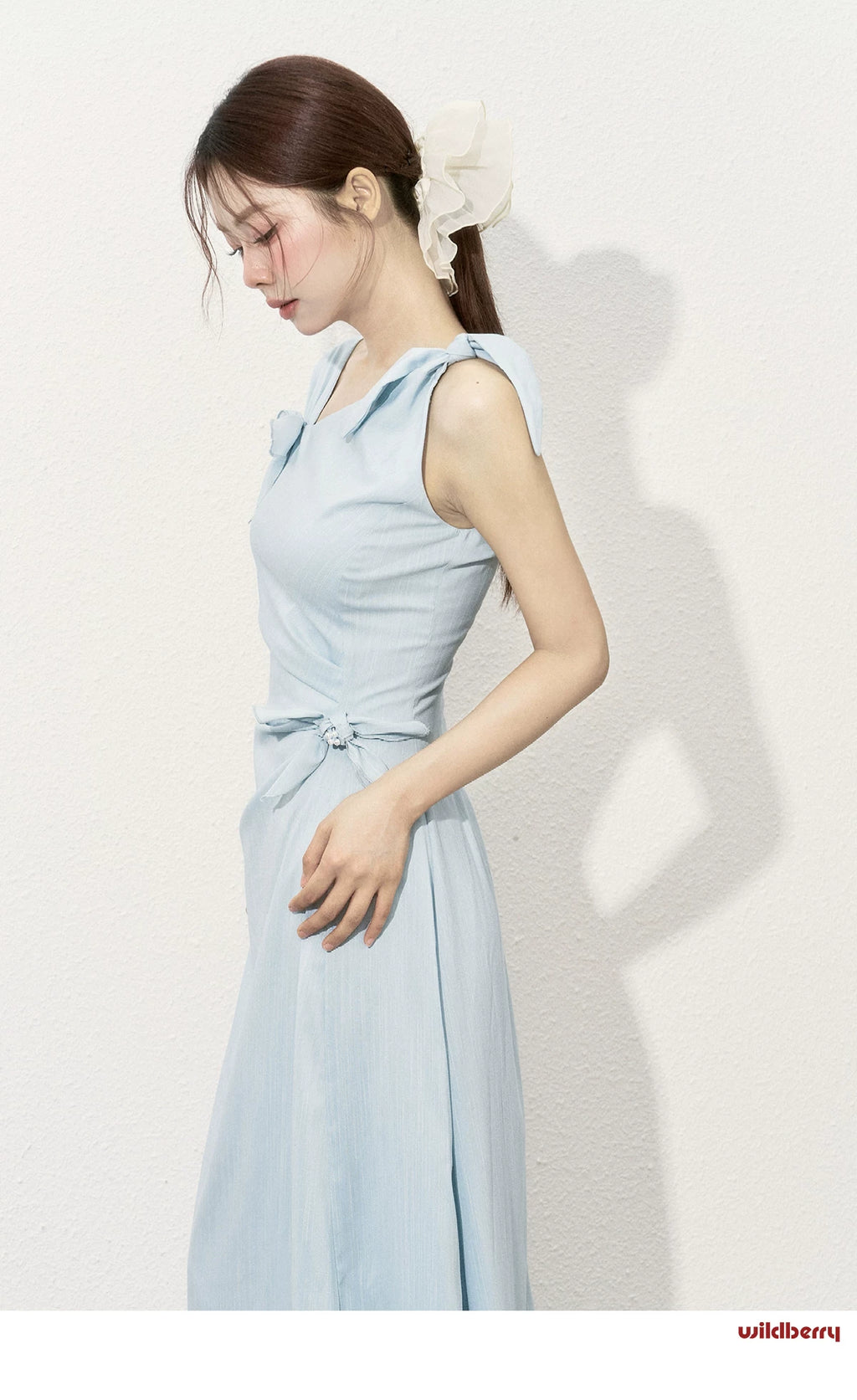 Wildberry Waist Temperament Dress