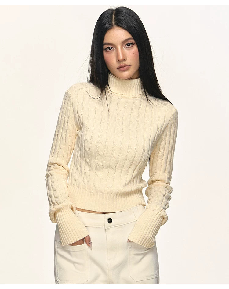 Anna Aneae Turtleneck Pit Strip Waist Sweater