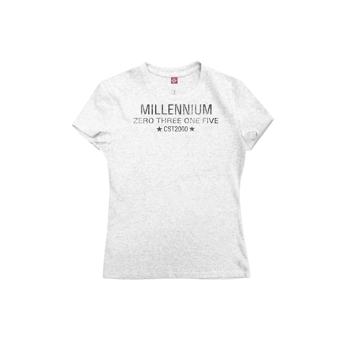 DETW CST2000 Snowflake 260g Slim Fit Crewneck Tee
