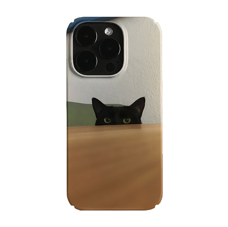 Pbcase Voyeur Cat Niche Apple Phone Case