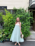 silvernorth lake Mint Green Chiffon A-Line Slip Dress